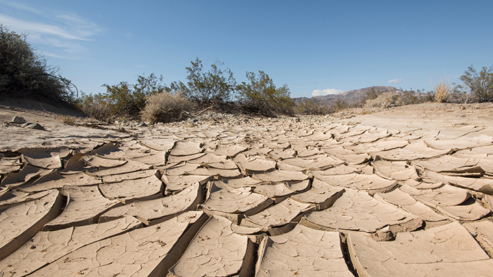 El Instituto de Investigación del Agua de la UB advierte que la sequía actual es la más grave en el este de Cataluña en doscientos años