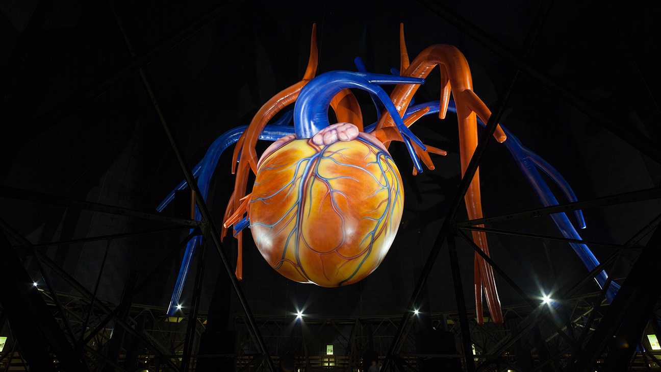 The Secret Heart, at the doors of the Faculty of Medicine and Health Sciences of the UB