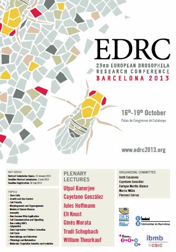 L'EDRC 2013 és el congrés europeu més important dedicat a la recerca bàsica i biomèdica que té com a model d’estudi la mosca de la fruita.