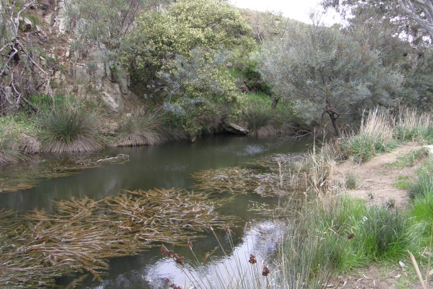 The salinisation of rivers is a growing problem that affects to countries all over the world. (Image: Woady creek, Australia / Ben J. Kefford)
