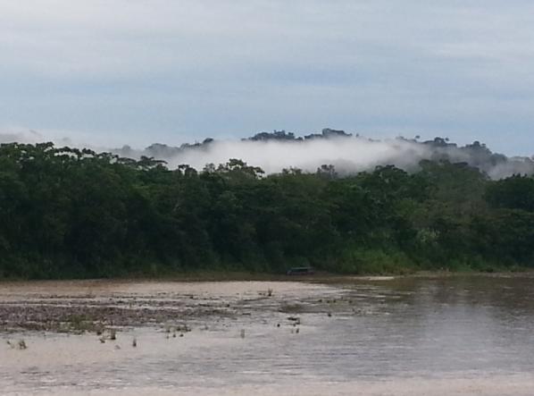 L’Amazònia equatoriana té uns ecosistemes extraordinàriament importants des del punt de vista ecològic. 