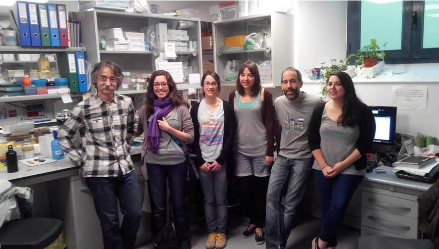 D'esquerra a dreta, els investigadors Carles Enrich, Meritxell Reverter, Anna Álvarez Guaita, Ana García Melero, Carles Rentero i Elsa Meneses, a la Facultat de Medicina de la UB. 