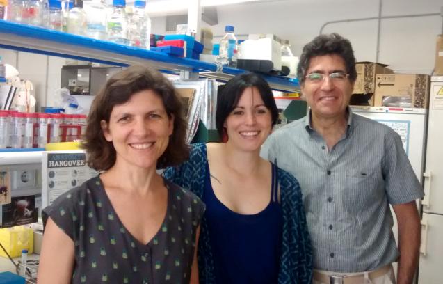 D'esquerra a dreta, els investigadors Teresa Adell, Maria Almuedo Castillo i Emili Saló. 