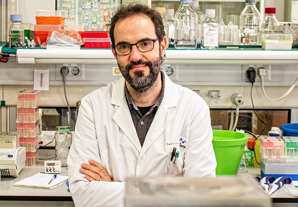 Carlos Sebastián Muñoz, member of the Faculty of Biology and the Institute of Biomedicine of the UB (IBUB).