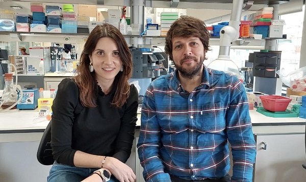 Els investigadors Roberta Haddad-Tóvolli i Marc Claret lideren el nou treball que aporta noves evidències sobre les alteracions de l’activitat neuronal que donen lloc als antulls en un model animal. 