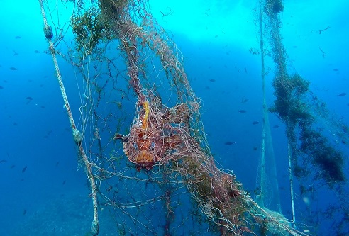 Every year, around 3,000 tonnes of waste are dumped in the Mediterranean, and around 10% are lost or abandoned fishing gears in seafloors. 