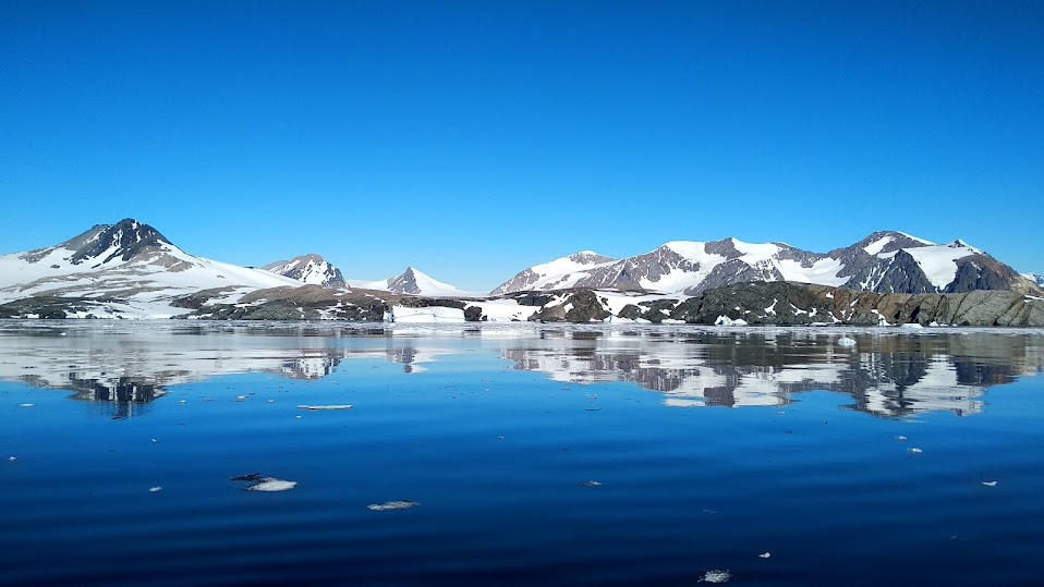 Antarctic landscape in the area of study.