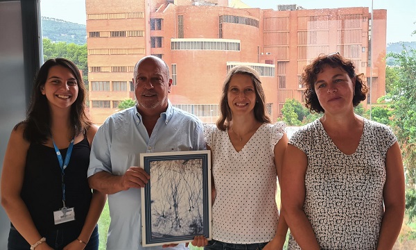 From left to right, Alba Elías-Tersa, Eduardo Soriano, Yasmina Manso and Marta Pascual, from the Department of Cell Biology, Physiology and Immunology of the Faculty of Biology and the Institute of Neurosciences (UBNeuro) of the UB, and the CIBERNED. 