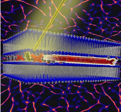 An image showing the light excited by a molecular switch (yellow shape between the blue molecular layers that are the path) and the motion of the red molecule along the path. The background is a coloured image obtained with the optical microscope used to observe the movement. 