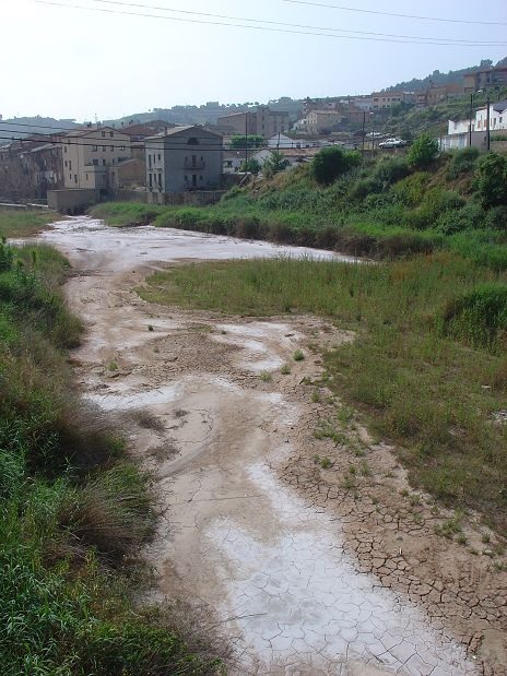 La llera abandonada del riu Cardener (Lleida), amb una gruixuda capa de fang que té una crosta superficial de sal. Foto: Jordi Badia, Montsalat  