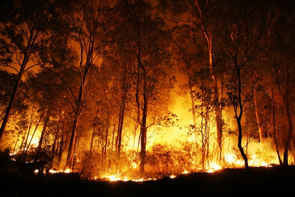 The study detected summer and spring seasons with unprecedented values of fire risks over the last years.