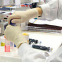 Els investigadors Laura Herrero, del Departament de Bioquímica i Biologia Molecular de la UB, i Marc Claret, de l’IDIBAPS, han estat distingits en la convocatòria de beques corresponent al 2012 de la Fundació Europea per a l’Estudi de la Diabetis.
