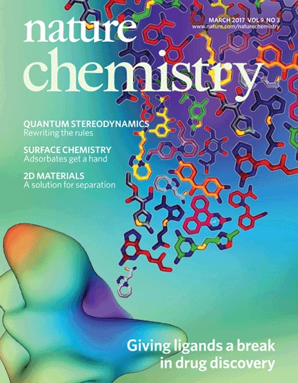 El treball de l'equip de recerca de la Universitat de Barcelona, destacat en portada de la revista <i>Nature Chemistry</i>.