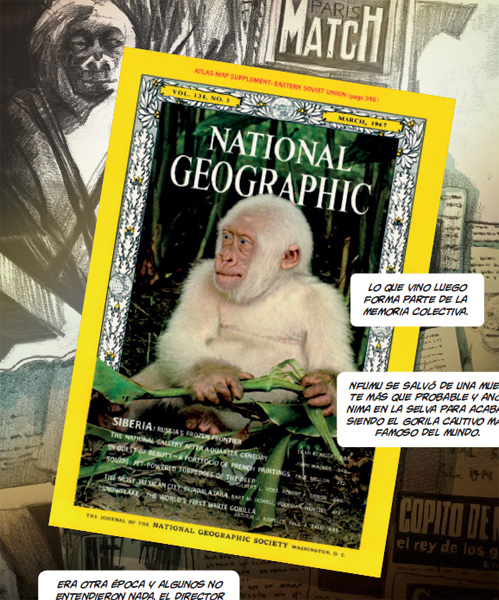 Enguany es compleixen cinquanta anys de la famosa portada de la revista <i>National Geographic</i> que va catapultar Floquet de Neu a la fama arreu del món.