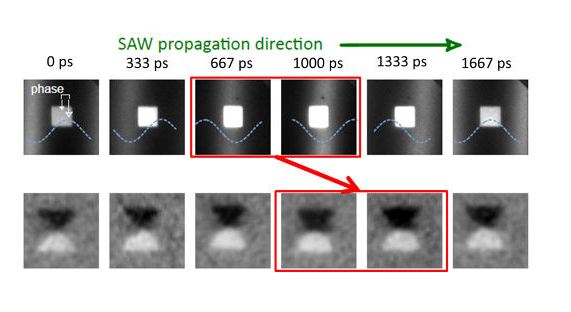 Seqüència d'imatges directes (fotogrames) en què es pot observar la modificació del domini magnètic del material pel pas d'una ona acústica de superfície. 