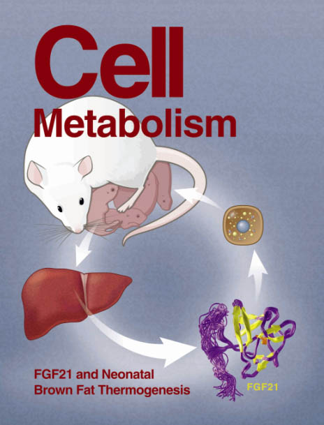 Portada de la revista Cell Metabolism 