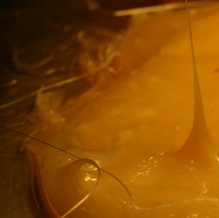 Els viscosímetres exposats permeten determinar si el fluid culinari és una sopa, un puré, una melmelada o una salsa 