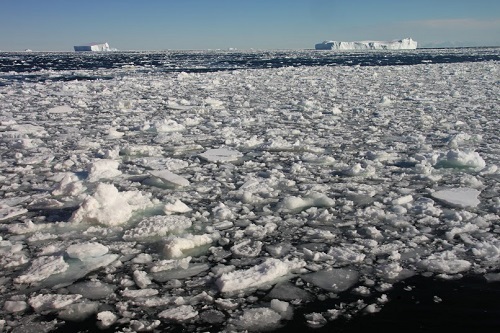 El continent antàrtic conté hàbitats molt particulars i difícils d’estudiar.