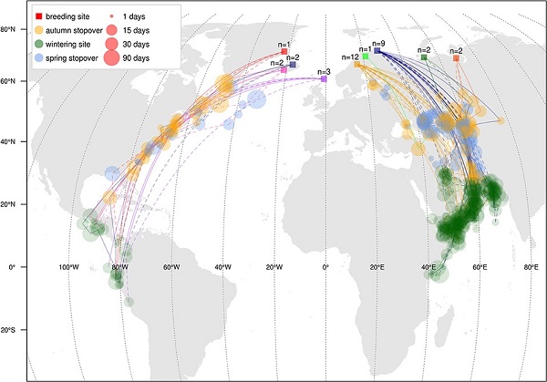 Els resultats mostren l’existència d’una divisòria migratòria amb dues poblacions molt ben definides en la geografia del paleàrtic occidental.