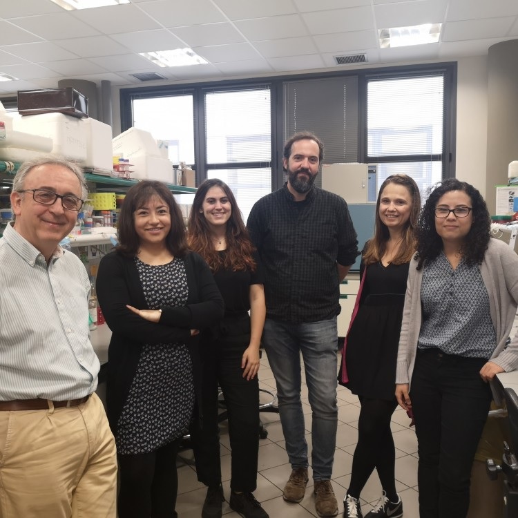 Antonio Zorzano i l'equip del laboratori de Malalties Metabòliques Complexes i Mitocondris que ha participat en aquesta investigació.