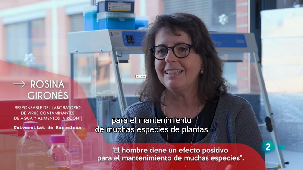 Rosina Gironès és catedràtica de Microbiologia i degana de la Facultat de Biologia.