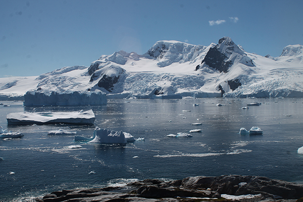 Badia de Caleta Cierva, a la península Antàrtica. Fotografia: Marc Oliva