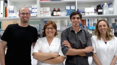 D'esquerra a dreta, els investigadors David Soto (UBNeuro), Judith Armstrong (HSJD), Xavier Altafaj (IDIBELL) i Àngels García-Cazorla (HSJD). 