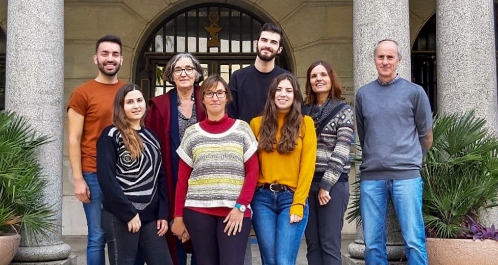 L'equip investigador dirigit pels professors Carme Pelegrí i Jordi Vilaplana, de la Facultat de Farmàcia i Ciències de l’Alimentació, l'UBNeuro i el CIBERNED.