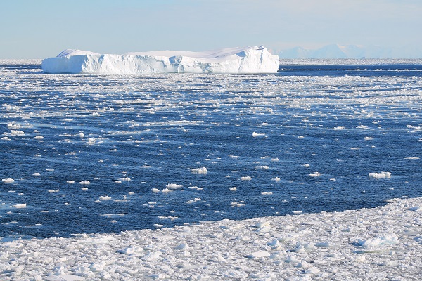 L’estacionalitat en la formació de gel a la superfície marina és un dels processos que afecten més directament la dinàmica dels ecosistemes marins.