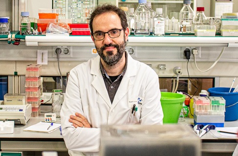 El professor Carlos Sebastián, director del Laboratori de Dinàmica Metabòlica en Càncer de la UB. 
