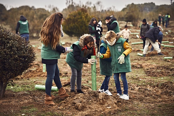 La iniciativa vol involucrar prop de 50 milions de voluntaris en la plantació d’arbres amb criteris científics. Foto: Life Terra