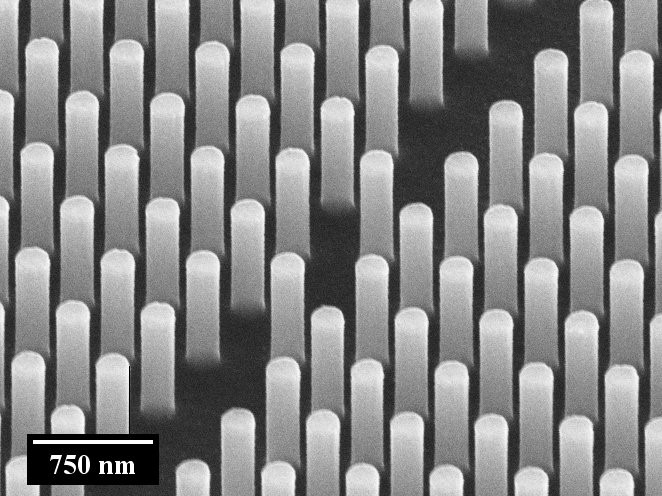 Imatge de microscòpia electrònica de rastreig en la qual es mostra una matriu de pilars de silici com els que formaran el nanosistema del projecte StretchBio.