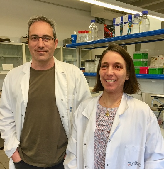 Els investigadors Bru Cormand i Raquel Rabionet, de la Facultat de Biologia i l’Institut de Biomedicina de la UB (IBUB).