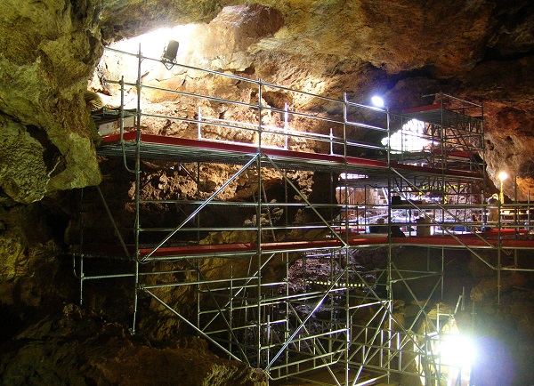 La Cueva Victoria ha aportat restes fòssils de prop d’un centenar d’espècies de vertebrats i és un dels pocs jaciments europeus del Pleistocè inferior que conté restes de l’espècie humana. 
