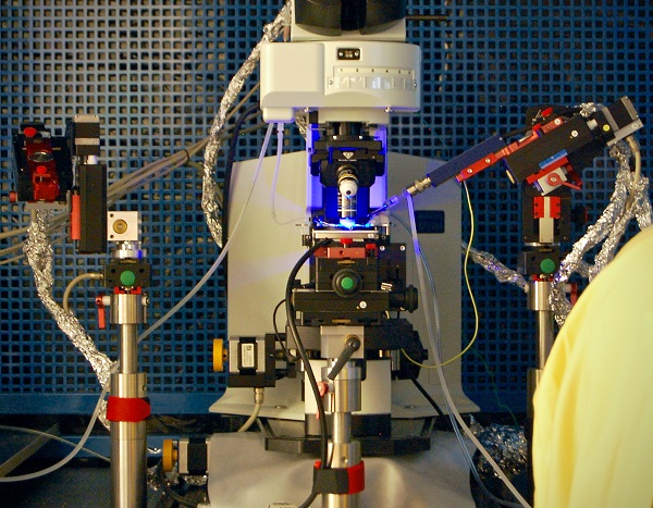 Dispositiu per a realitzar registres electrofisiològics amb les llums LED incorporades per l'us d'optogenètica.
