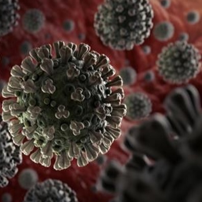 El nou coronavirus pertany a una àmplia família de patògens virals. 