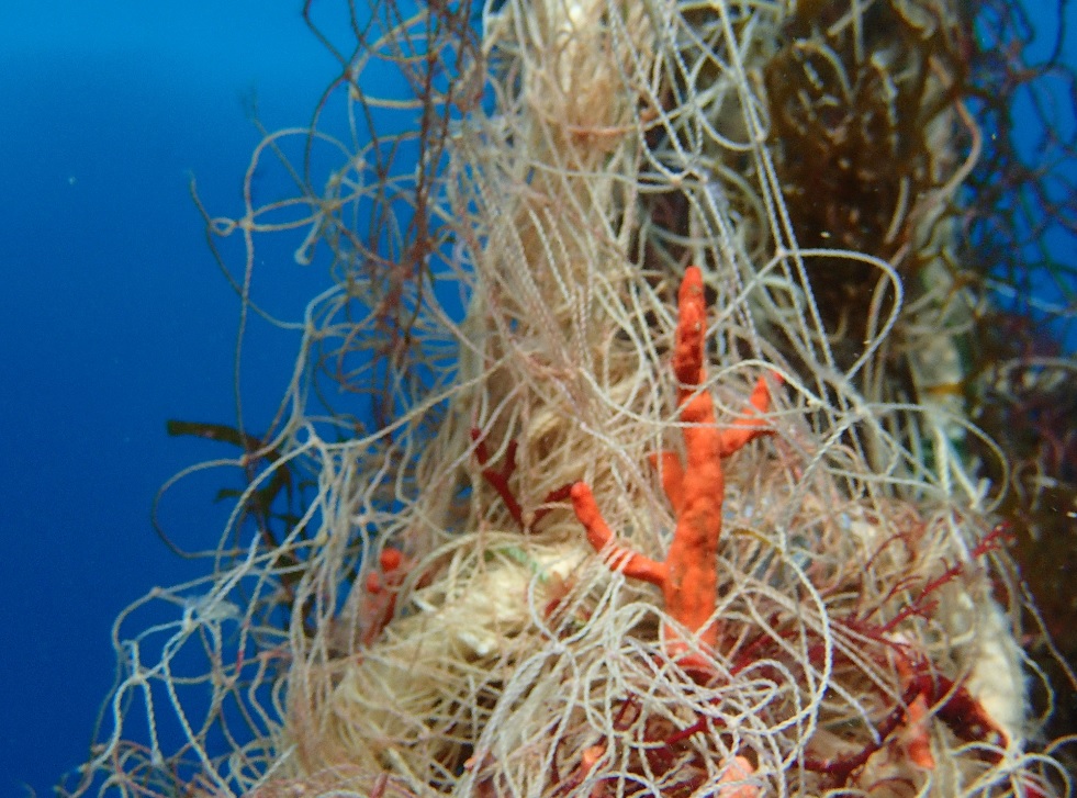 Aquesta iniciativa vol conscienciar la societat de l’impacte real d’aquestes xarxes en espècies, hàbitats i ecosistemes marins.