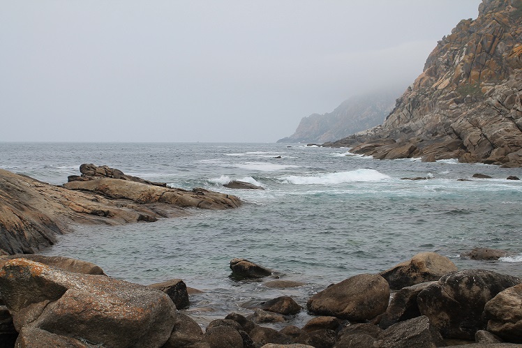 La recerca es va fer en dos hàbitats diferents: les illes Cies (Vigo), una àrea marina protegida on no es permet la pesca recreativa, i en zones contigües obertes a la pesca. Foto: Lluís Cardona