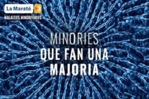 A l’edició de La Marató 2019, s’hi van presentar 228 projectes sobre malalties minoritàries. 