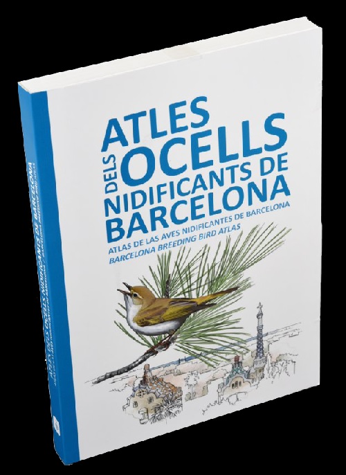 A Barcelona hi ha uns 160.000 exemplars de vuitanta-tres espècies d’ocells nifidicants.