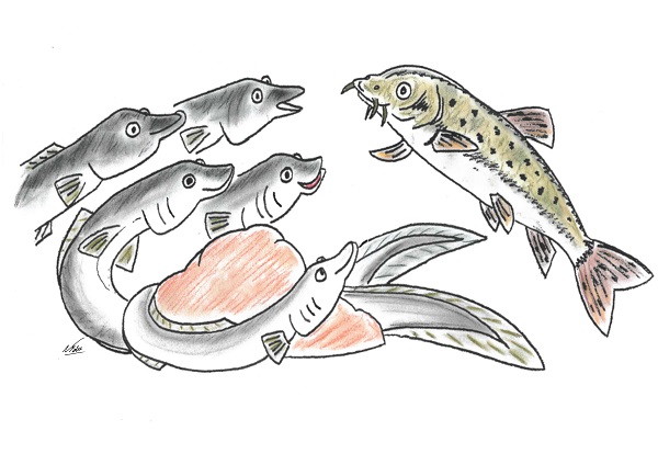 Una de les il·lustracions del conte <i>La increïble aventura de les anguiles del riu Besòs</i>, escrit per les investigadores Dolors Vinyoles i Noëlle Fabre de la UB. 