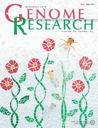 La portada de la revista <i>Genome Research</i> del mes de desembre és una representació artística inspirada en Antoni Gaudí que reflecteix la idea conceptual d’aquesta recerca.