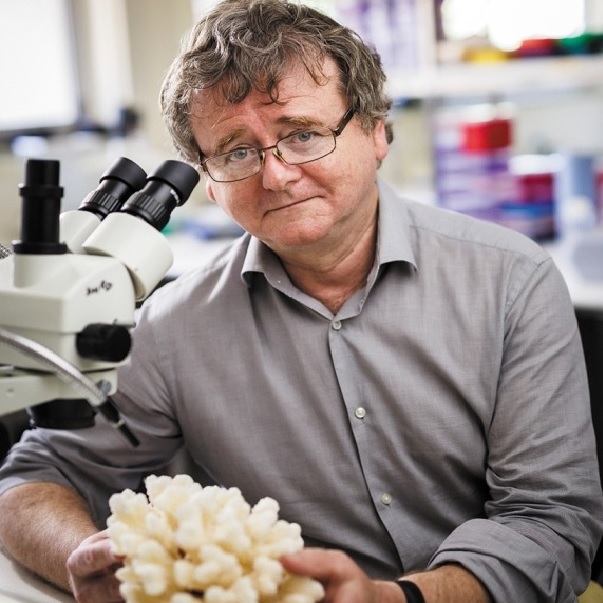 El professor Terry Hugues, director del Centre d’Excel·lència ARC d’Estudis d’Esculls de Corall (Austràlia).