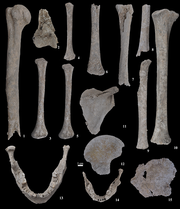 L'estudi posa al descobert més de tres-centes restes humanes d’uns 7.400 anys d’antiguitat.