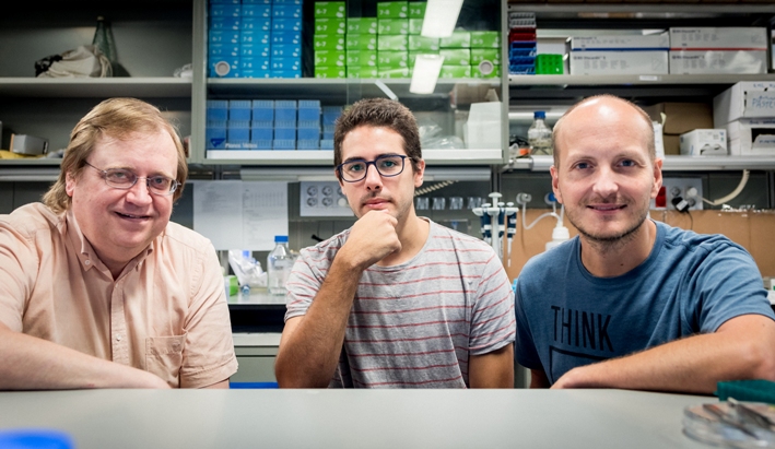 D'esquerra a dreta, els investigadors Jaume Casademunt, Carlos Pérez i Xavier Trepat. Foto: IBEC