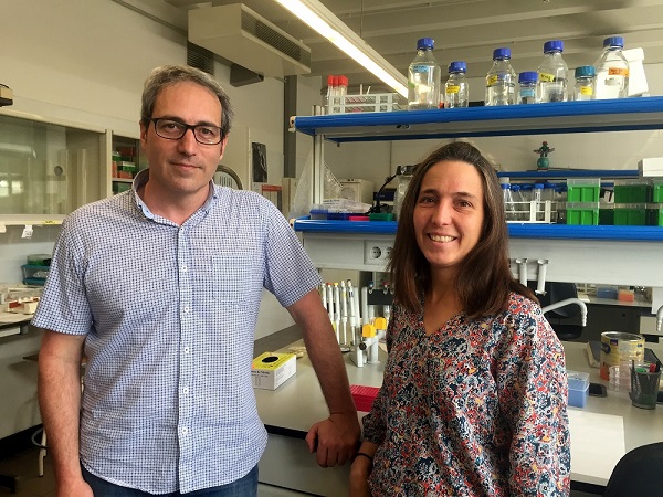 Els experts Bru Cormand i Raquel Rabionet, a la Facultat de Biologia de la Universitat de Barcelona. 