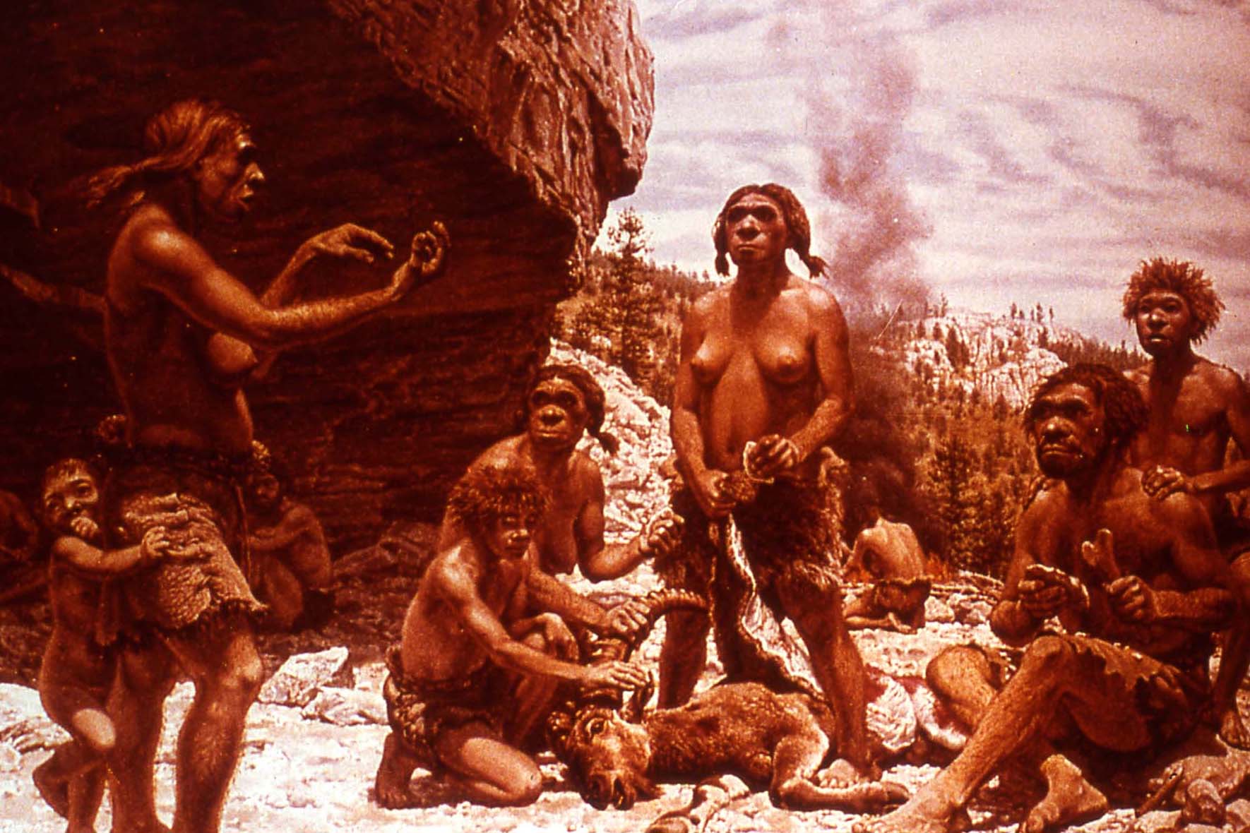 Els neandertals tenien una organització social complexa i practicaven rituals funeraris. 
