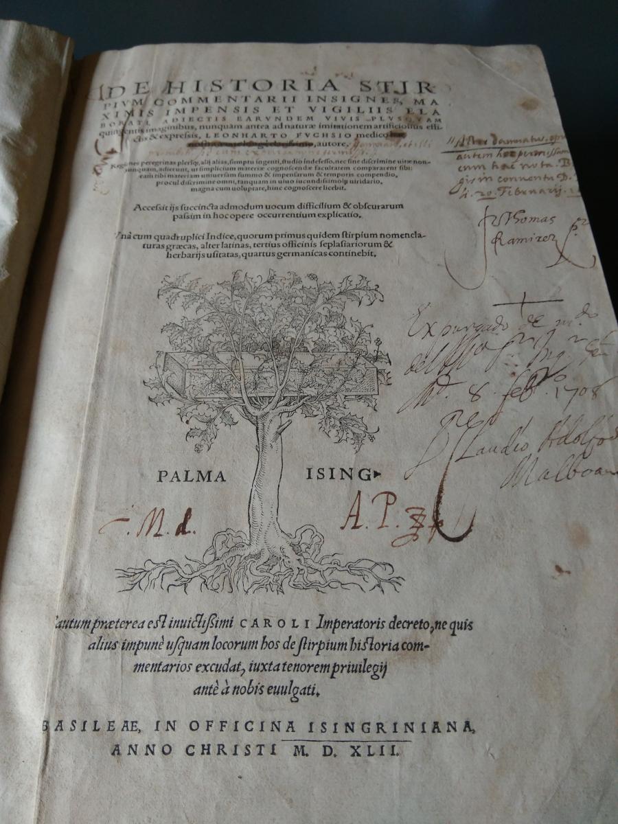 L'obra més antiga, <i>De historia stirpium commentarii insignes</i> (1542), de Leonhart Fuchs.