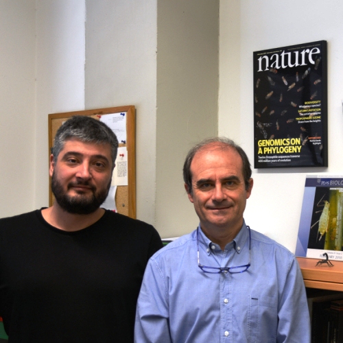 Els investigadors Alejandro Sánchez Gracia i Julio Rozas, de l'IRBio-UB.