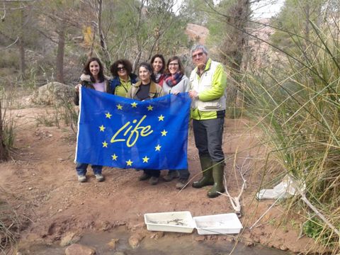 El projecte europeu LIFE TRivers està liderat per investigadors del Departament d’Ecologia de la UB.